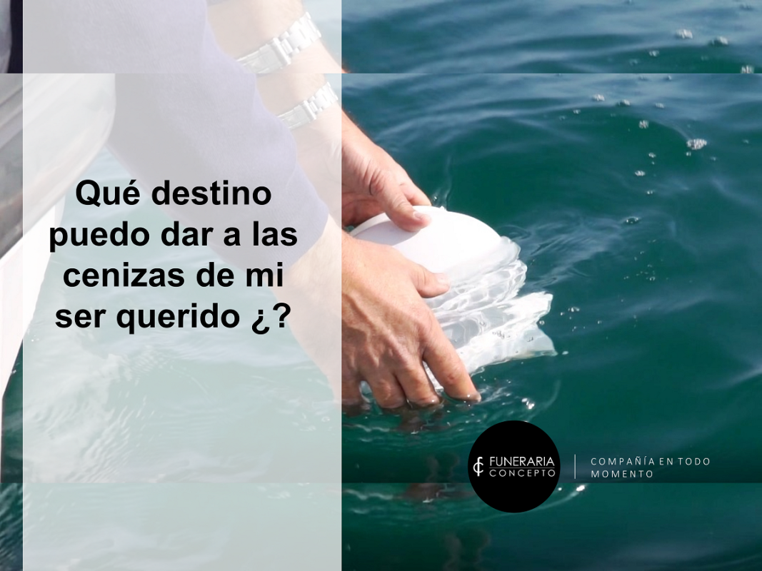 Que destino puedo dar a las ceniza?