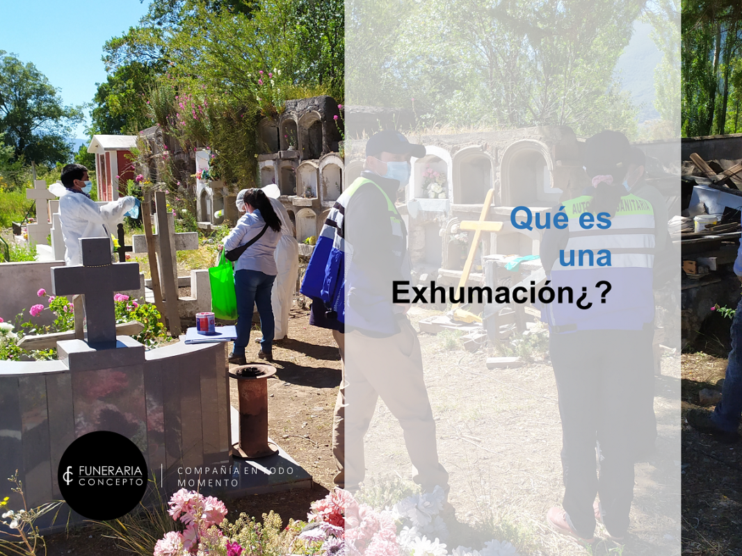 ¿Que es una Exhumación?