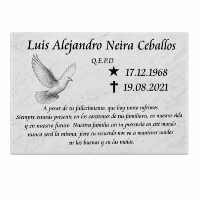 Grabado placa parque 70x45 cm sin fotografia
