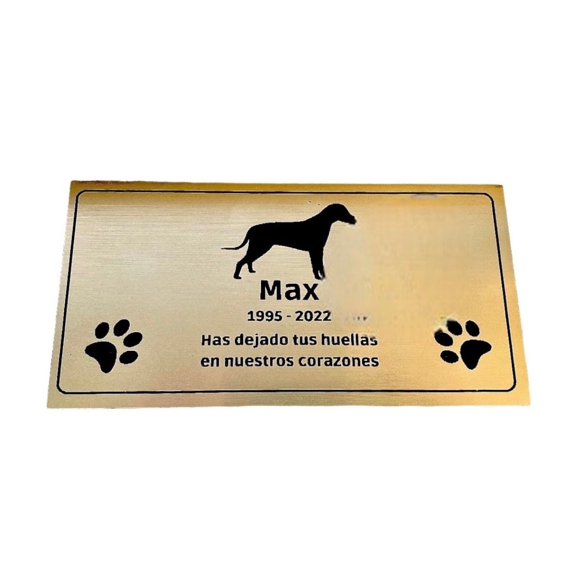 placa metalex 15x10 cm grabado