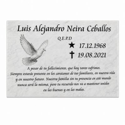 grabado placa parque 60x35 cm sin fotografia